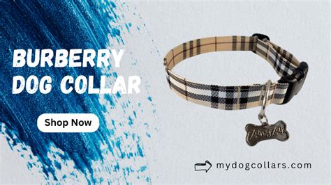 burberry dog carrier|Burberry dog collars.